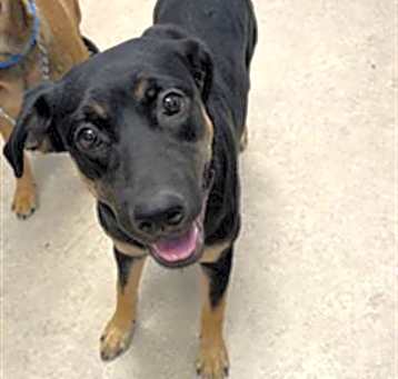 Photo of XENA