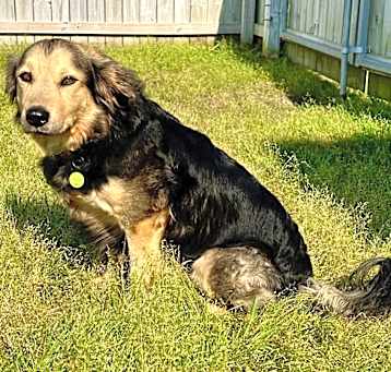Photo of Freya
