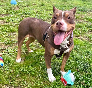 Photo of Reign