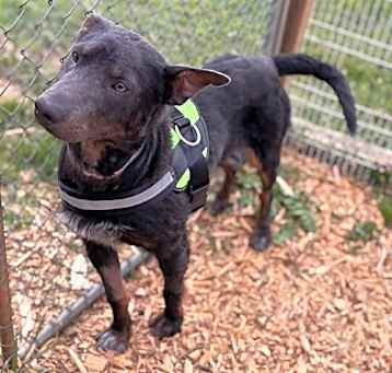 Photo of Hero: At shelter