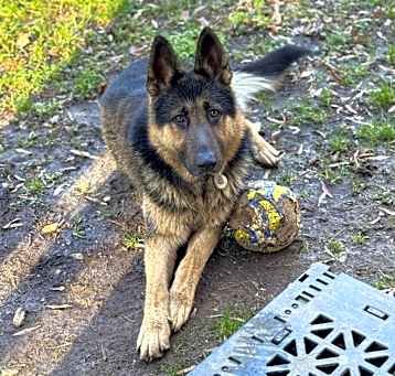 Photo of Chase