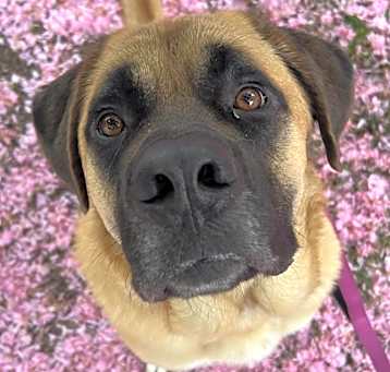 Photo of Max
