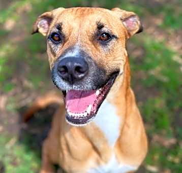 Photo of Ruby