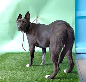 Photo of PICKY