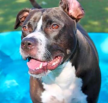 Photo of Biggy