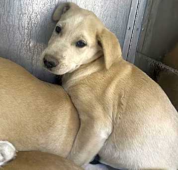 Photo of SNEEZY