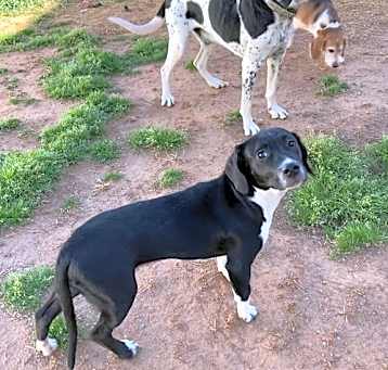Photo of Mazy