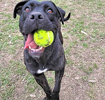 Photo of Lila