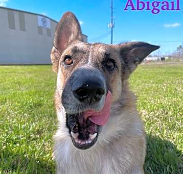 Photo of Abigail
