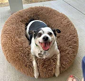 Photo of Roxi