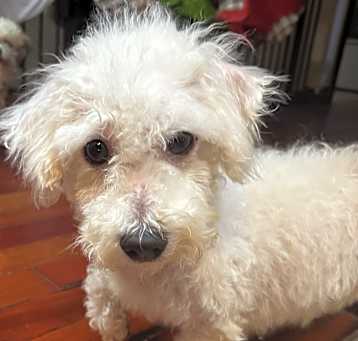 Photo of Lexi