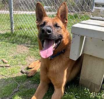 Photo of Storm