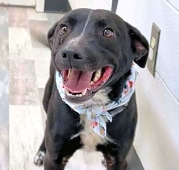 Photo of Duke