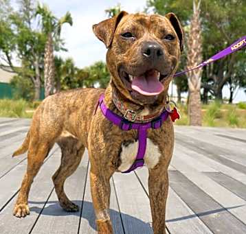 Photo of Trudy (Urgent)