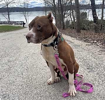 Photo of MAGGIE