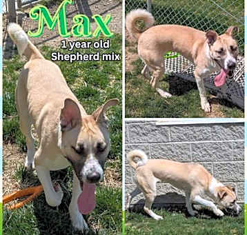 Photo of Max