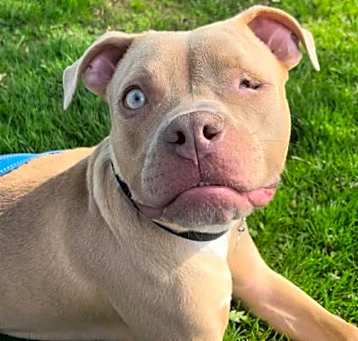 Photo of Fetty