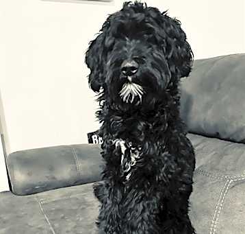 Photo of LUCY
