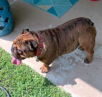Photo of Zeus