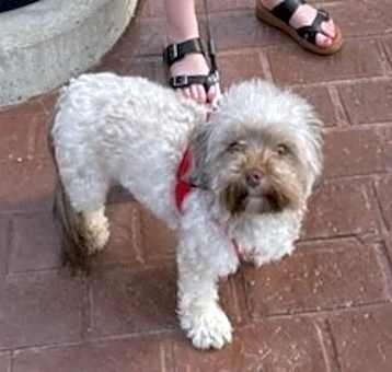 Photo of Hazel