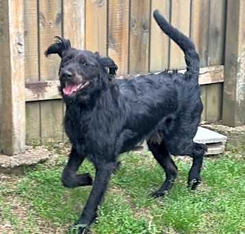 Photo of Maverick