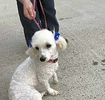 Photo of Lucy