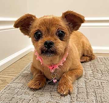 Photo of RUBY TUESDAY