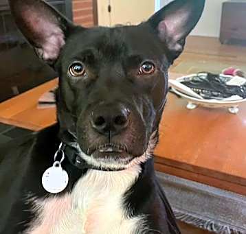 Photo of Arty
