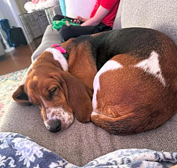 Photo of Betty