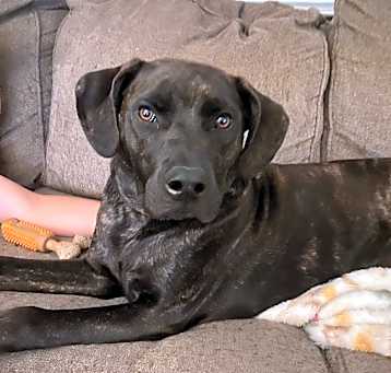 Photo of Cash