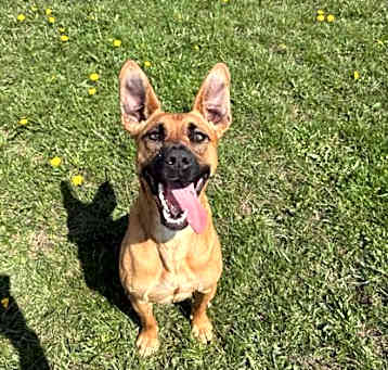 Photo of Roo