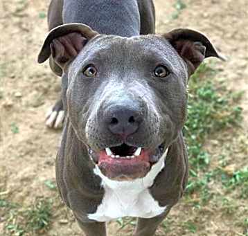 Photo of CHIQUITA