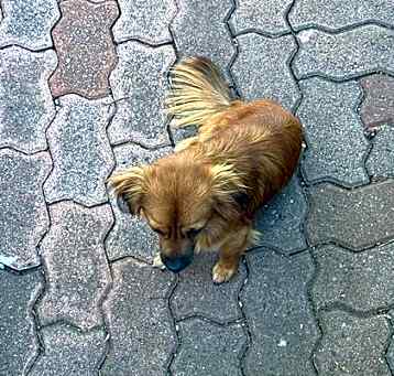 Photo of A753172