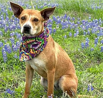 Photo of Sweetie
