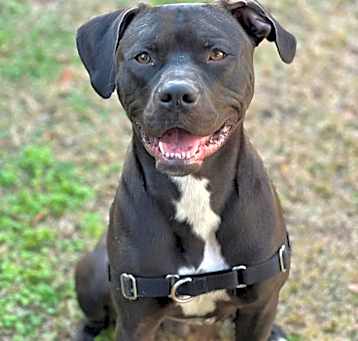 Photo of Jakoby