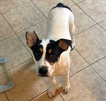 Photo of Spud