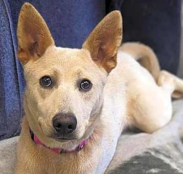 Photo of Wilma
