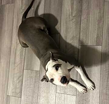 Photo of Pretty Girl