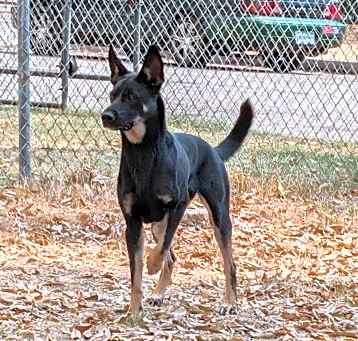 Photo of Korra