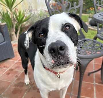 Photo of Southpaw