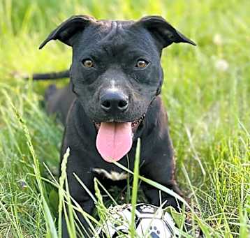 Photo of Jolene
