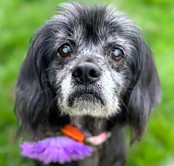 Photo of Lucy