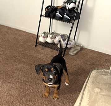 Photo of Stormy