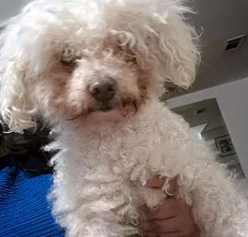 Photo of ROSIE