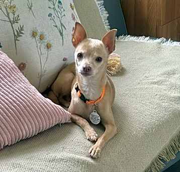 Photo of Sally