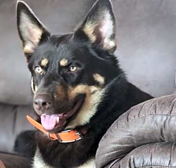 Photo of Charlie Babe