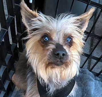 Photo of Gambit