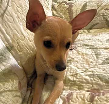Photo of Chencho