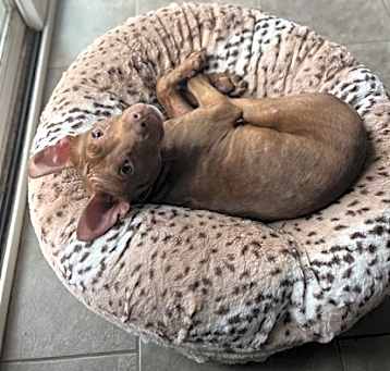 Photo of Ember