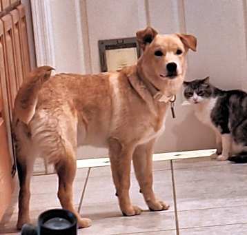 Photo of Butters